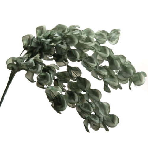 Amadeus - Fiore Serena in foam