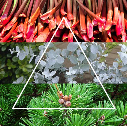 Alternative view of FraLab Candele profumate Linea Artika - Bianco risveglio