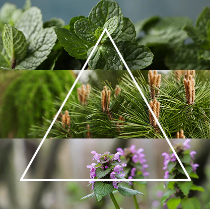 Alternative view of FraLab Candele profumate Linea Artika - Foresta gelata