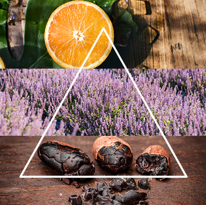 Alternative view of FraLab Candele profumate Linea Artika - Occhi del bosco