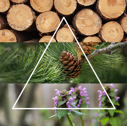 Alternative view of FraLab Candele profumate Linea Chalet - Bosco sereno