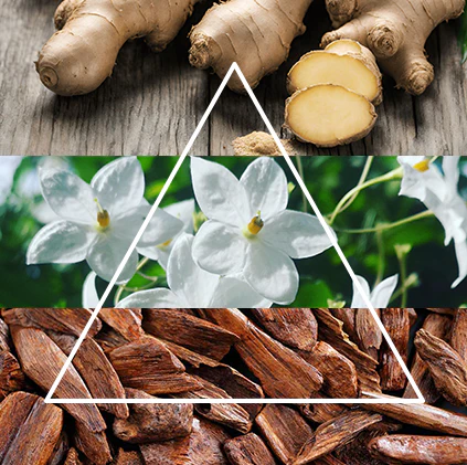 Alternative view of FraLab Candele profumate Linea Jardin De Villandry