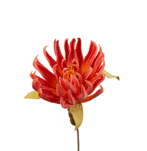 L'Oca Nera- Dragon claw Arancione