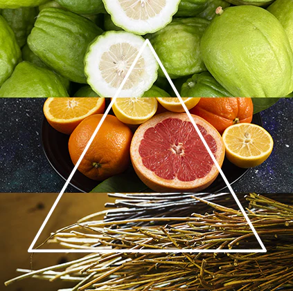 Alternative view of FraLab Candele profumate - Linea Daisy - Speranza