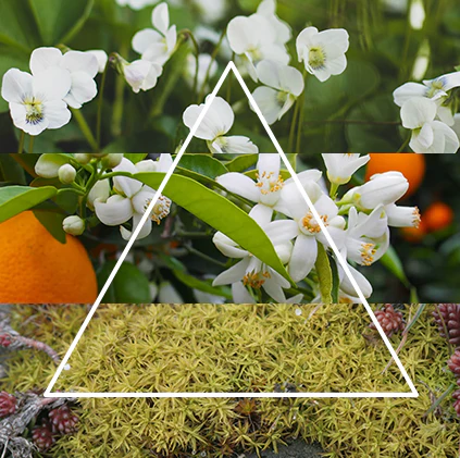 Alternative view of FraLab Candele profumate - Linea Flora - Ninfea