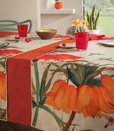 L'oca Nera Runner Sanremo