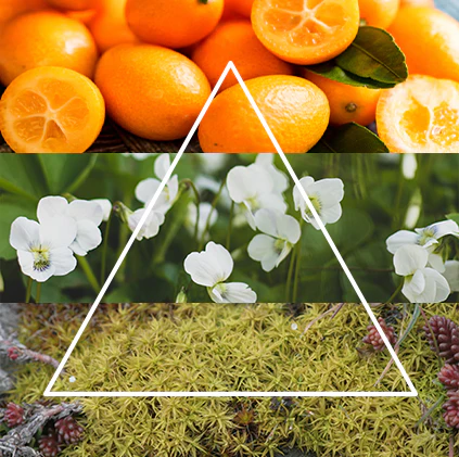 Alternative view of FraLab Candele profumate - Linea Panorama - Alba Splendente