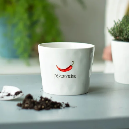 Alternative view of Simple Day - Vaso Peperoncino, con sottovaso