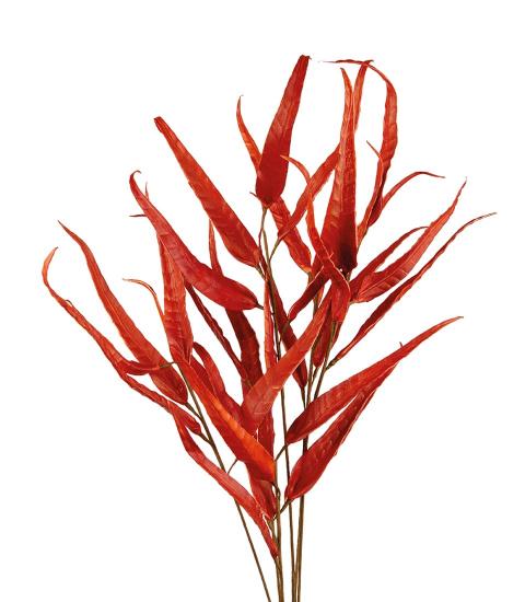 L'Oca Nera - Nandina Domestica