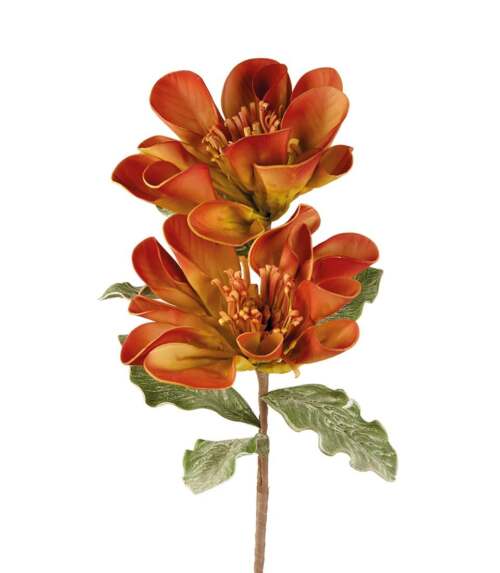 L'Oca Nera - Uvularia arancione