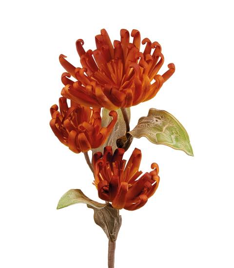 L'Oca Nera - Castilleja