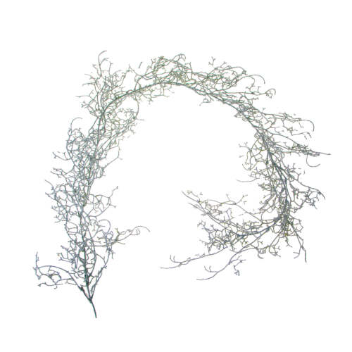 Natale - Ghirlanda 170 cm Tillandsia ghiacciata
