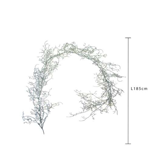 Alternative view of Natale - Ghirlanda 170 cm Tillandsia ghiacciata