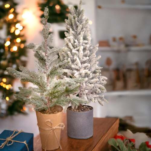 Alternative view of Natale - Albero di Natale in Abete 60 cm con Vaso