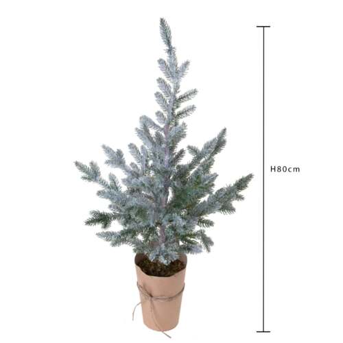 Alternative view of Natale - Albero di Natale in Abete 80 cm con Vaso