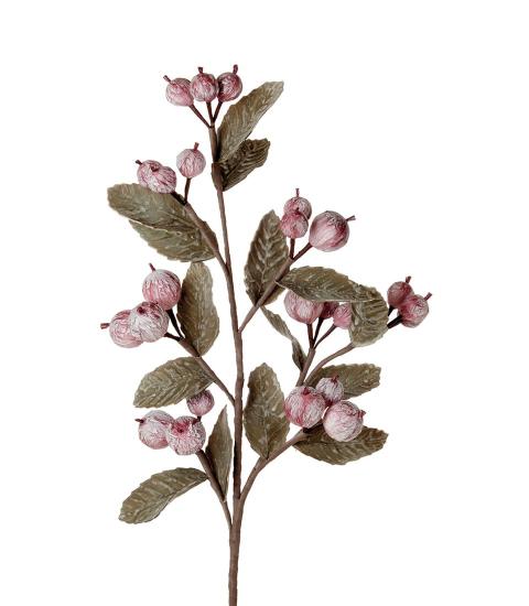 L'Oca Nera - Melograno ako