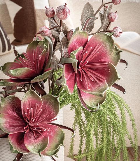 Alternative view of L'Oca Nera - Melograno ako