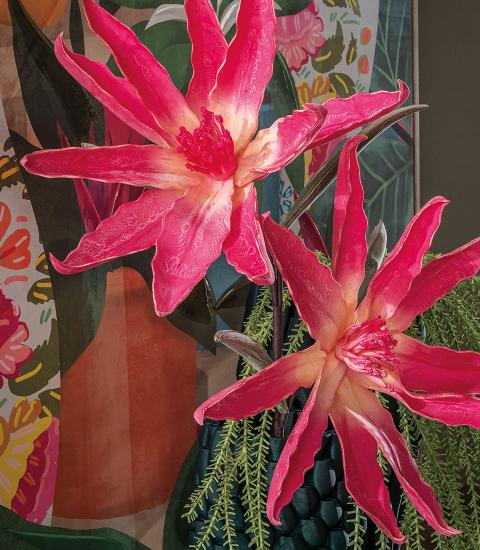 L'Oca Nera - Leucodendro rosso